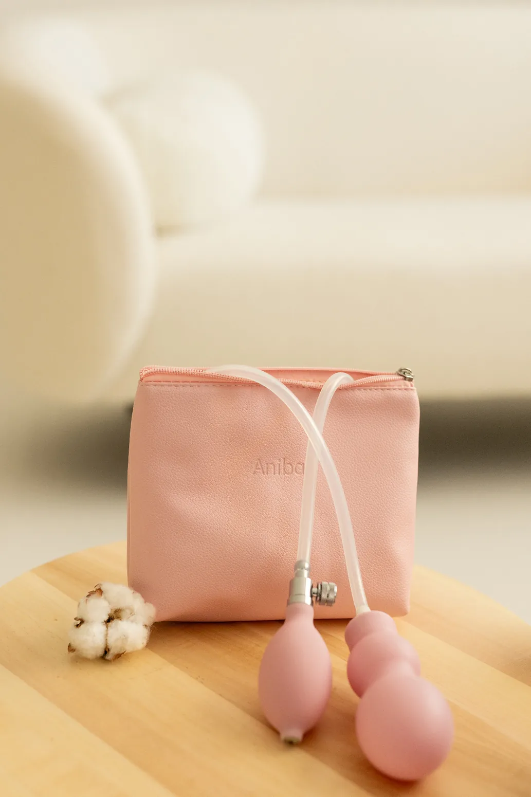 Aniball balloon and carrying pouch in a bright setting